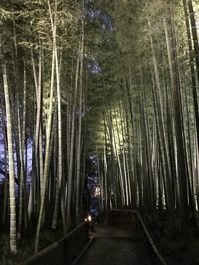 Sakuraya-Inn Osaka Esterno foto